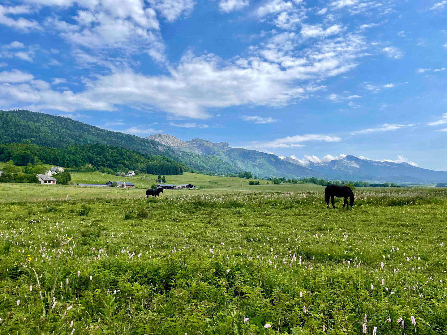 Atelier découverte Kintsugi ébréchure - Vercors