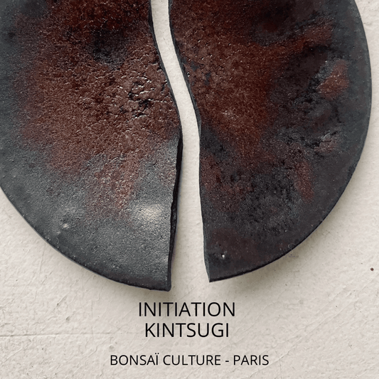 Atelier découverte Kintsugi - Paris Bonsaï Expo - 25 octobre - 12h-14h